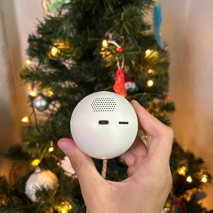 MerryMemory™
